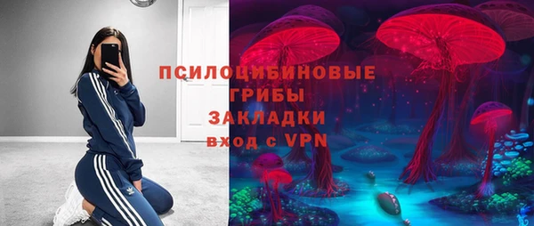 ECSTASY Алексин