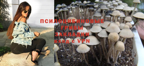 ПСИЛОЦИБИНОВЫЕ ГРИБЫ Алзамай