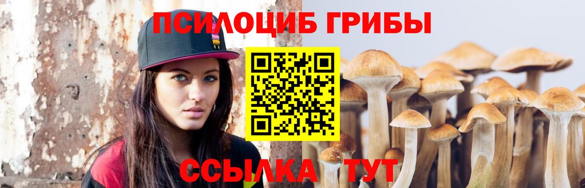 Галлюциногенные грибы Magic Shrooms  Псилоцибиновые грибы мухоморы  Вход с VPN  Чебоксары 